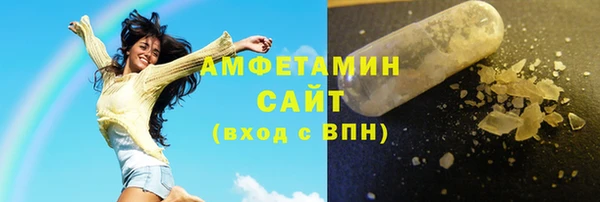 индика Алзамай