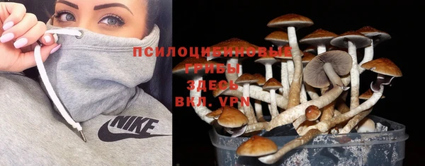 МДМА Алексеевка