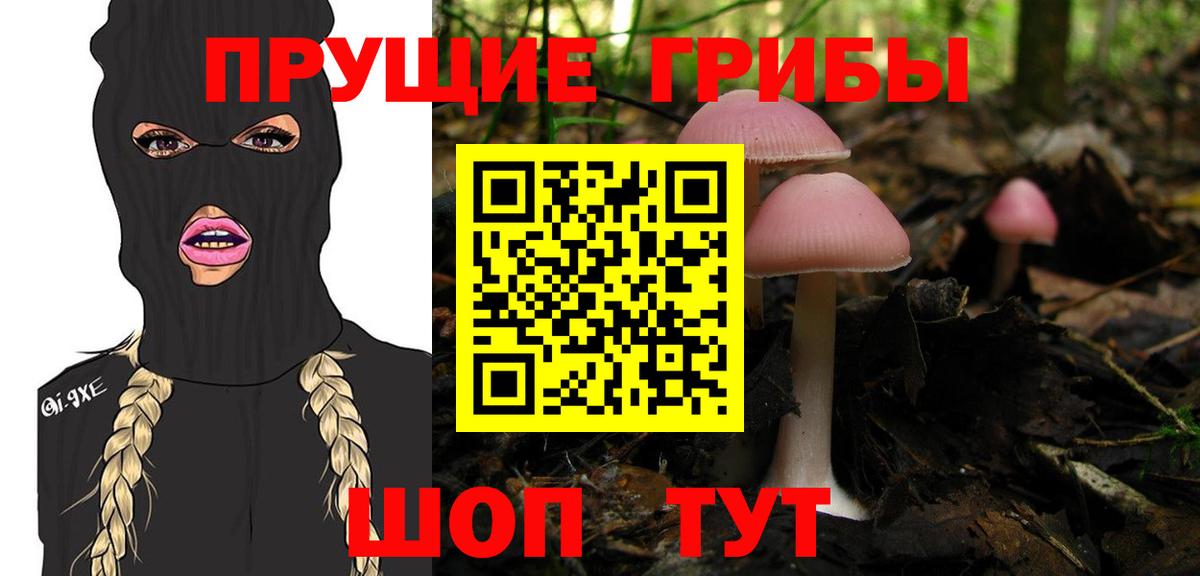 Менделеевск  Галлюциногенные грибы мицелий  Галлюциногенные грибы мухоморы  купить  сайты  Вход с VPN 
